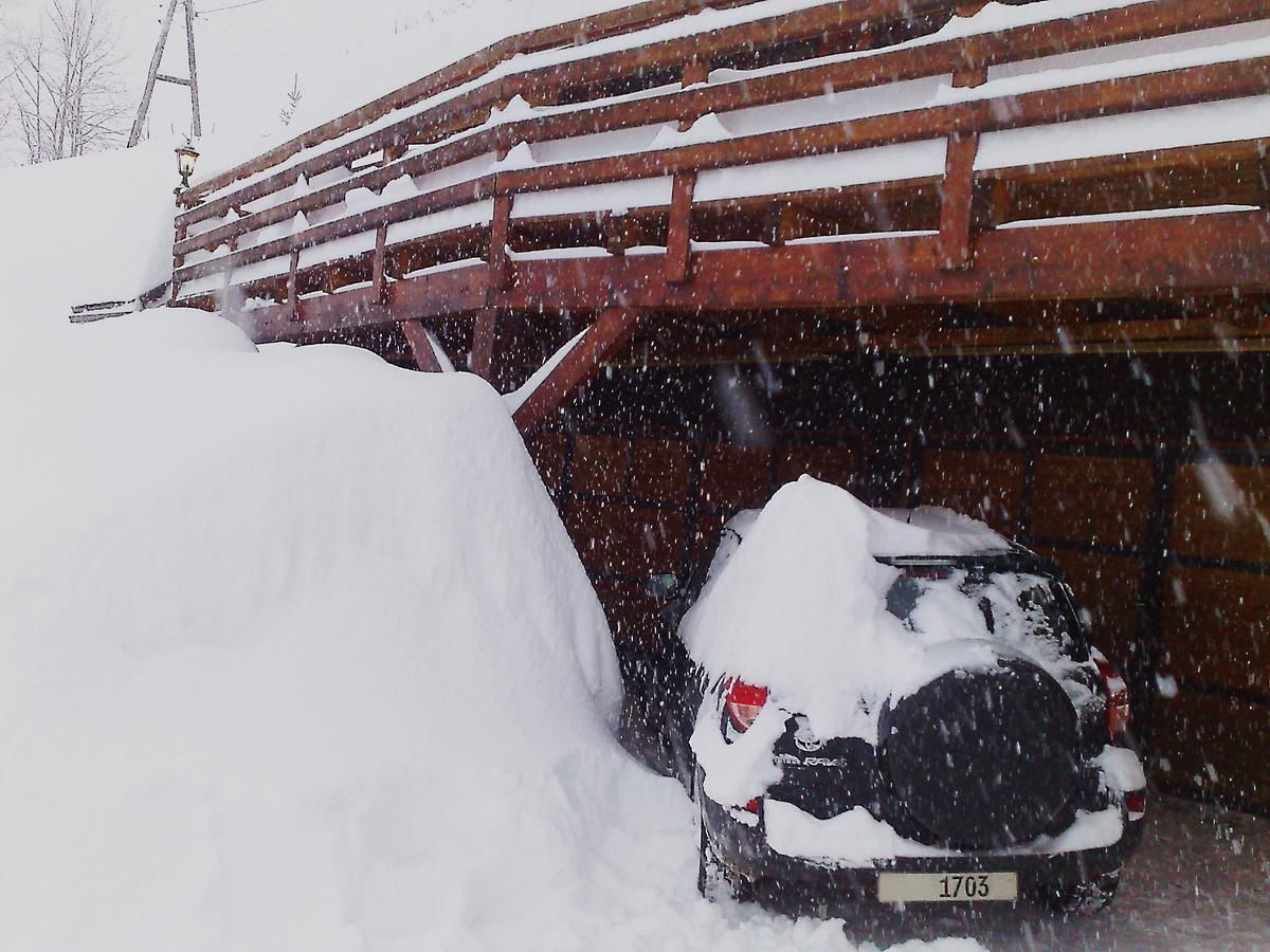 Загородные дома Art Apartments Minic Колашин-18