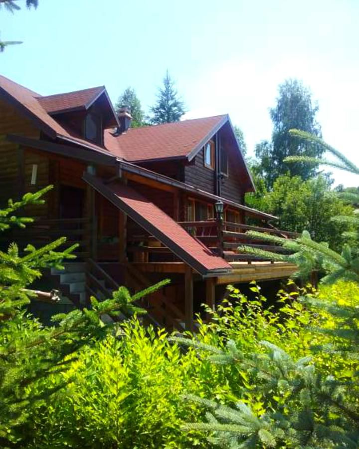 Загородные дома Art Apartments Minic Колашин-26