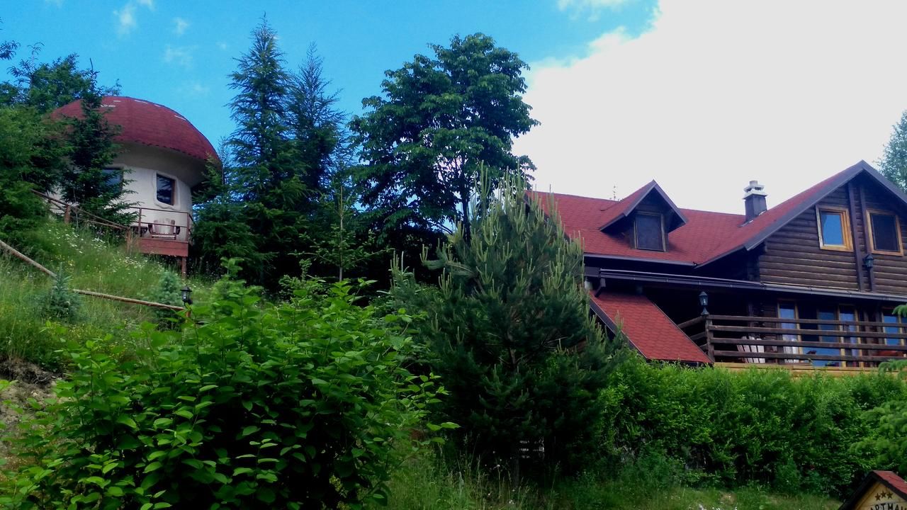 Загородные дома Art Apartments Minic Колашин-30