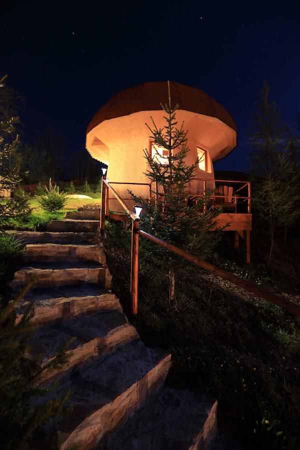 Загородные дома Art Apartments Minic Колашин-34