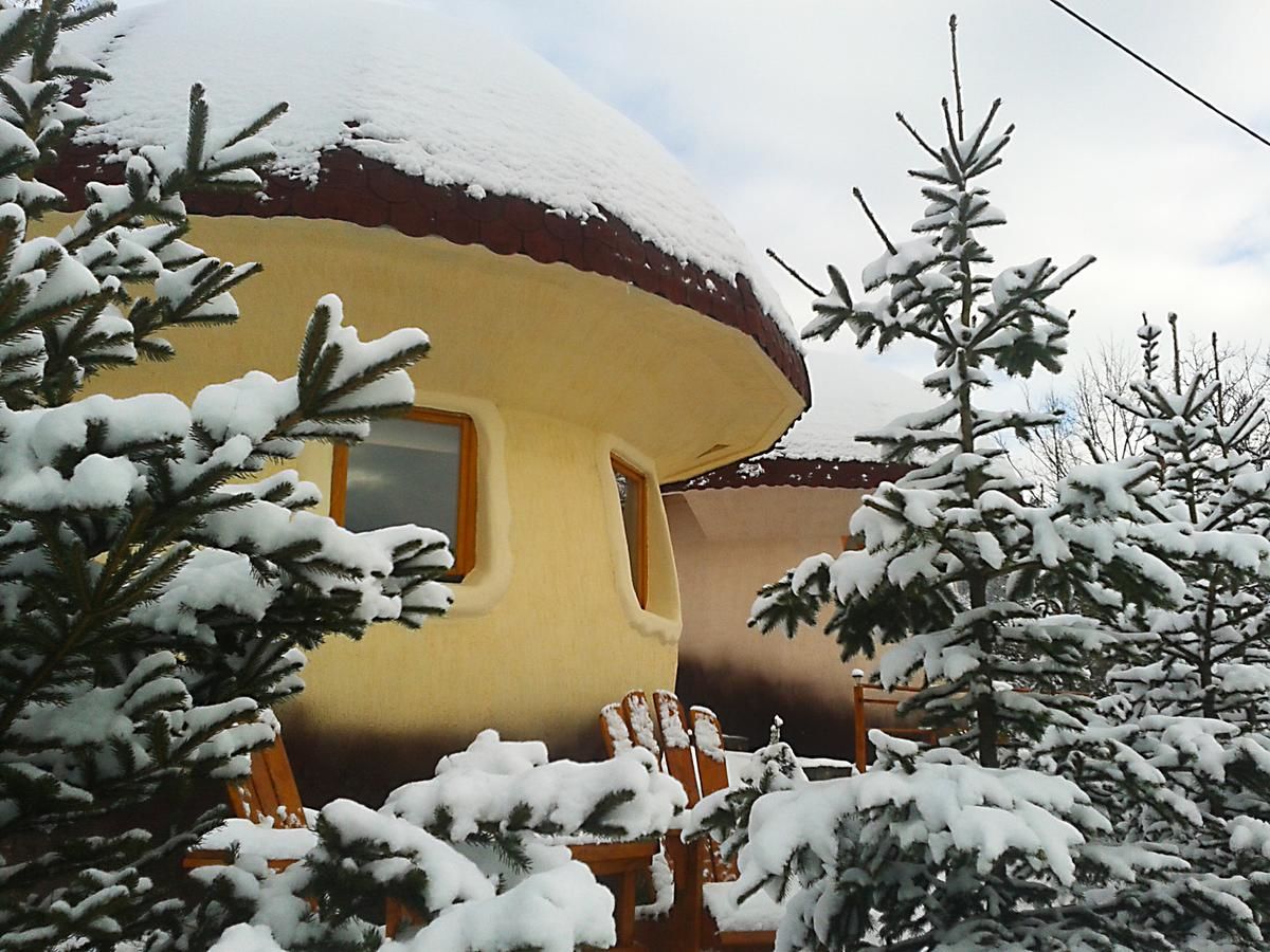 Загородные дома Art Apartments Minic Колашин-8