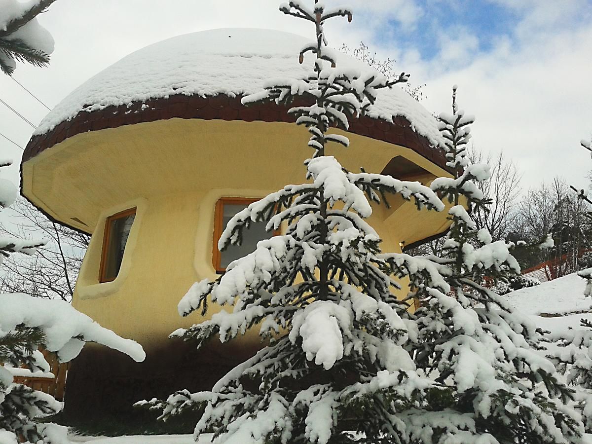 Загородные дома Art Apartments Minic Колашин-10