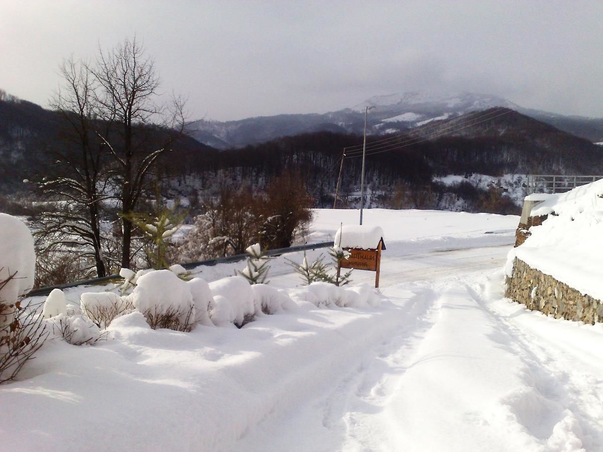 Загородные дома Art Apartments Minic Колашин-12