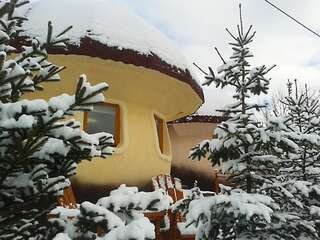 Загородные дома Art Apartments Minic Колашин-4