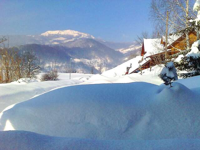 Загородные дома Art Apartments Minic Колашин-20