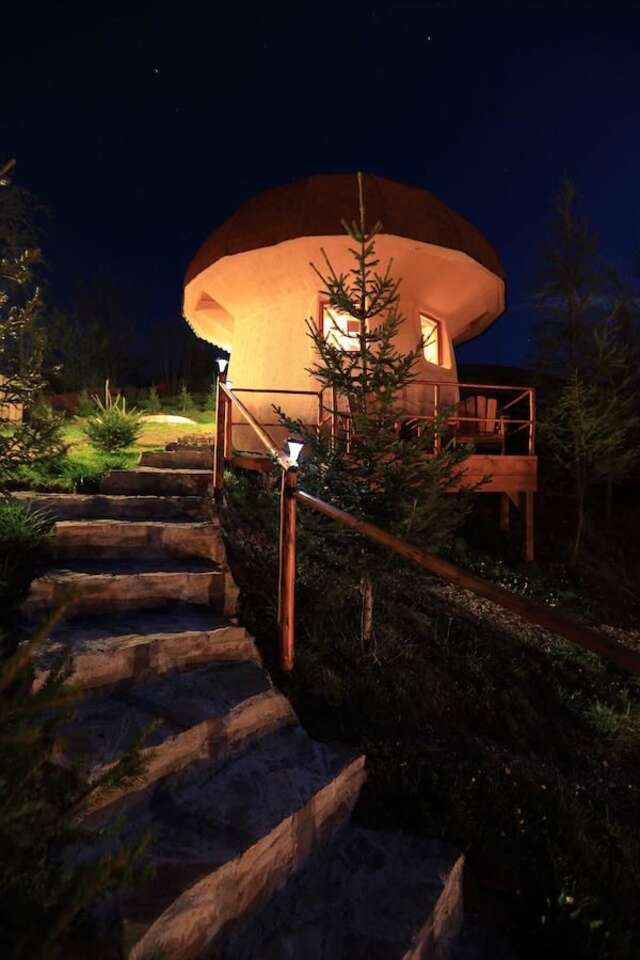 Загородные дома Art Apartments Minic Колашин-33