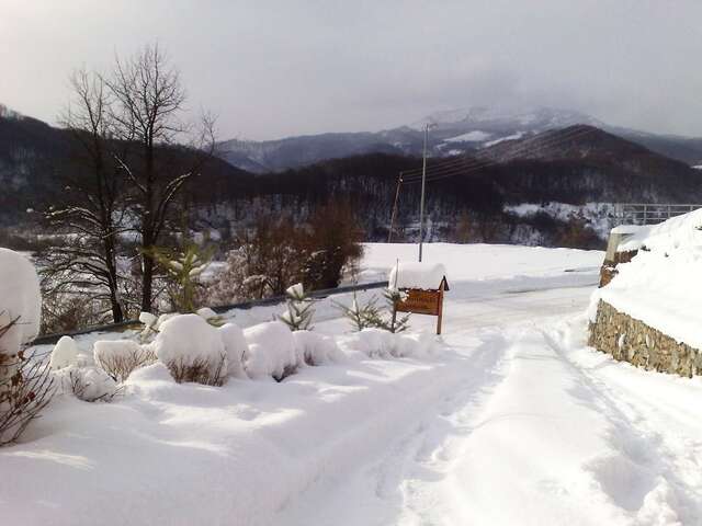 Загородные дома Art Apartments Minic Колашин-11